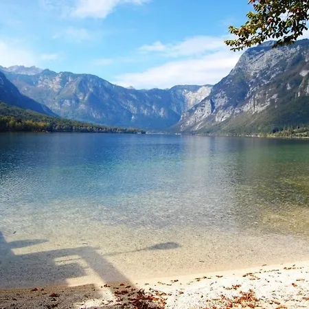 Vakantiehuis Frida Bohinj